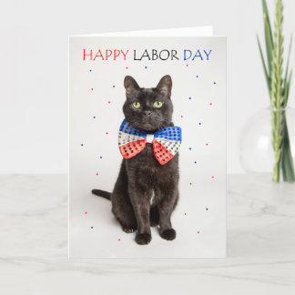Happy Labor Day Patriotic Cat in Bow Tie Humor Holiday Card