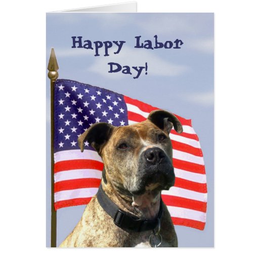 Happy Labor Day Pitbull Greeting card | Zazzle