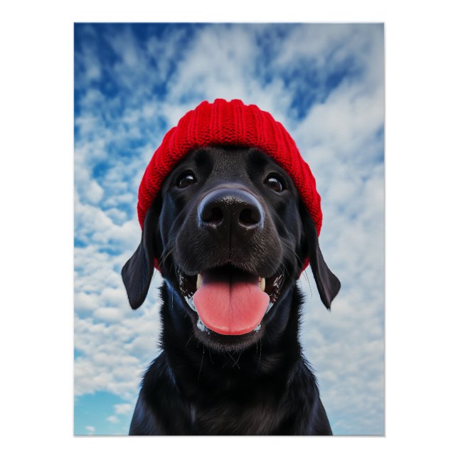 Happy Labrador in a Red Beanie Under a Blue Sky Poster (Front)