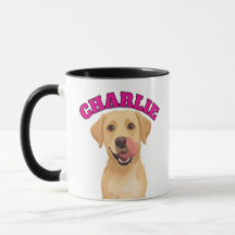Happy Labrador Licking Nose