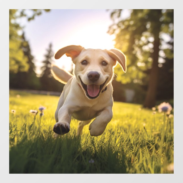 Happy Labrador Puppy Running  Floor Decals (Front)
