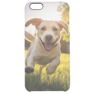 Happy Labrador Puppy Running Clear iPhone 6 Plus Case