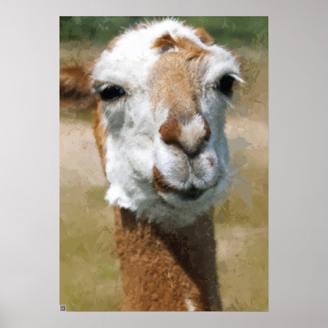 Happy Lama, Painting Effect Poster (Front)