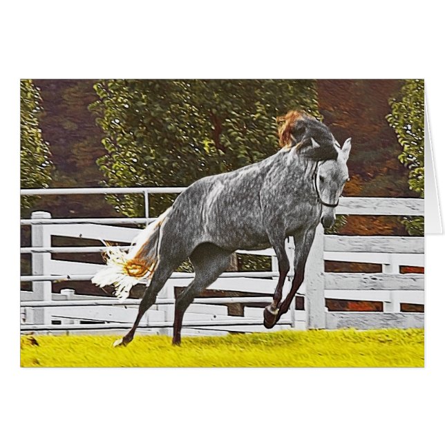 Happy Leaping Horse Cards (Front Horizontal)