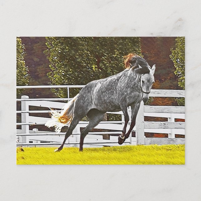 Happy Leaping Horse Postcard (Front)