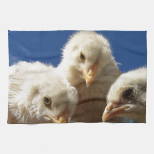 happy little chicken chick kitchen towel