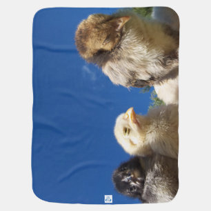happy little chicken chick sleeping stroller blanket