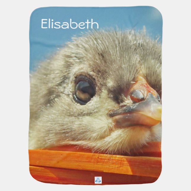 happy little chicken chick swaddle blanket (Back)