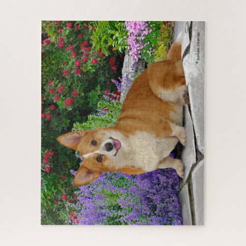 Happy Little Corgi Jigsaw Puzzle