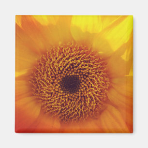 Happy Little Flower Magnet