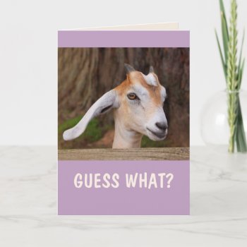 Happy Little Goat Birthday Card by Therupieshop at Zazzle