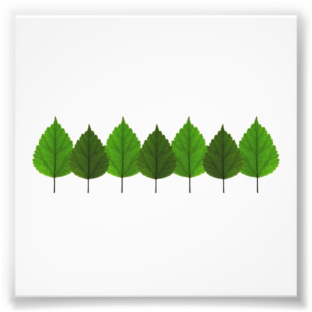 Happy Little Green Tree Leaf Forest Photo Print (Front)