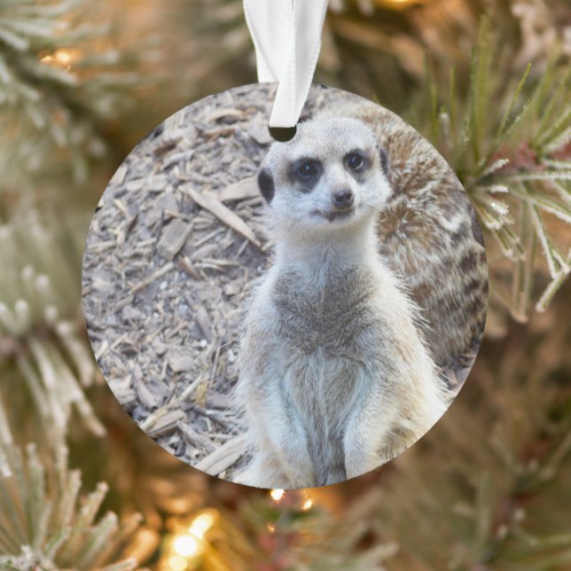 Happy Little Meerkat, Ornament (Tree)