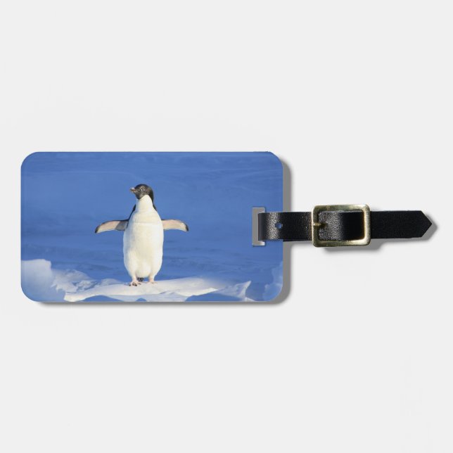Happy Little Penguin Luggage Tag (Front Horizontal)