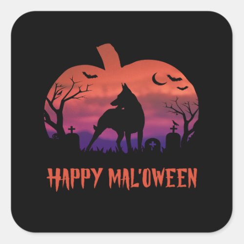 Happy Maloween Belgian Malinois Halloween Pumpkin Square Sticker