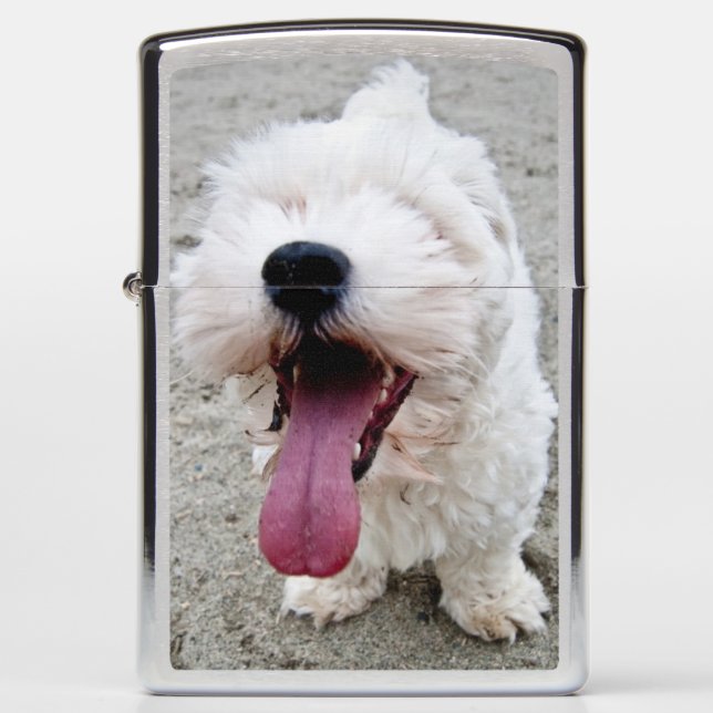 Happy Malteese Puppy Zippo Lighter (Front)
