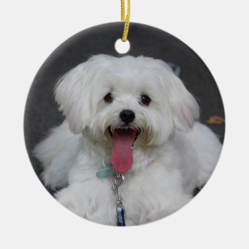 Happy Maltese Puppy Dog Ceramic Ornament