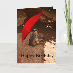 Happy Meerkat Birthday Greeting Card