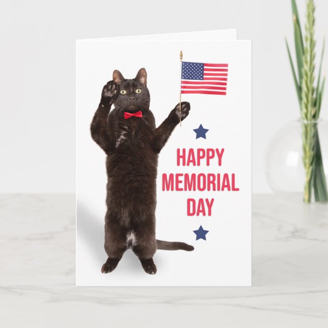 Happy Memorial Day Cat With Flag Saluting  Holiday Card (Front)