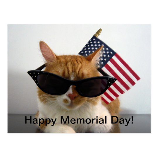 Happy Memorial Day Cool Cat with Flag Postcard Zazzle