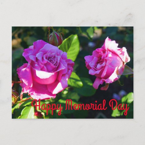 Happy Memorial Day _ Memorial Day Rose 1 Postcard