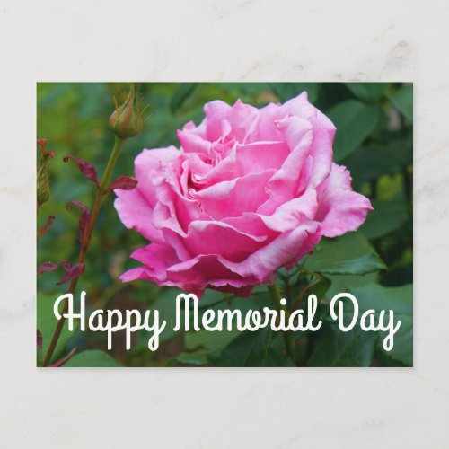 Happy Memorial Day _ Memorial Day Rose 2 Postcard