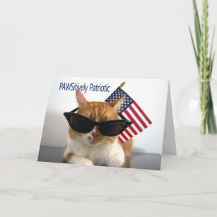 Happy Memorial Day - PAWSitively Patriotic Cat Card