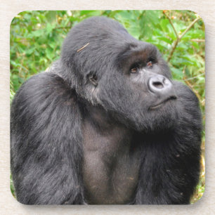 Happy Monkey Beverage Coaster