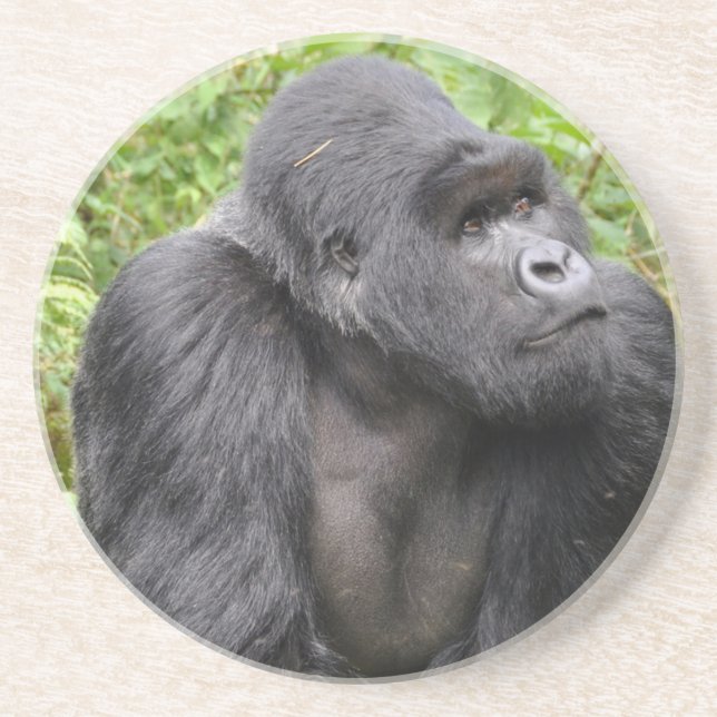 Happy Monkey Sandstone Coaster (Front)