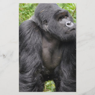 Happy Monkey Stationery