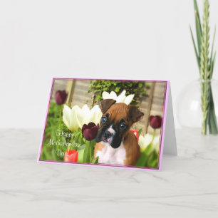 Happy Mother-in-law day boxer greeting card