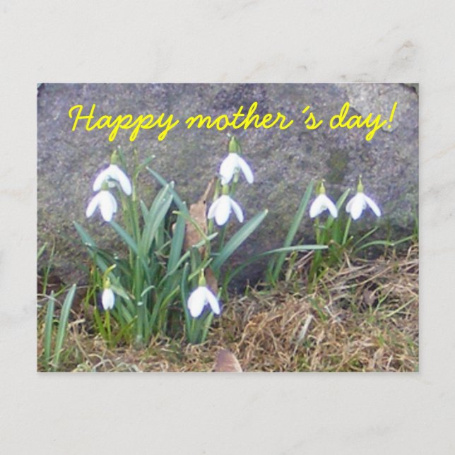 Happy mother´s day! postcard (Front)