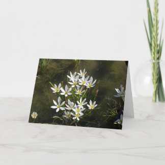 Happy Mother’s Day With Flowers! Card