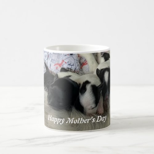 Happy Mothers Day Zoey and Babies Coffee Mug