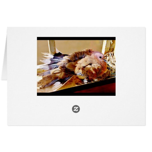 Happy Mother's Day! (Back Horizontal)