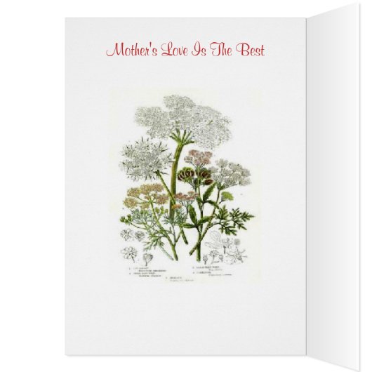 Happy Mother's Day (Inside (Left))