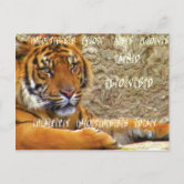 Animals~Mother Tiger Carrying Cub In Mouth~Vintage Postcard