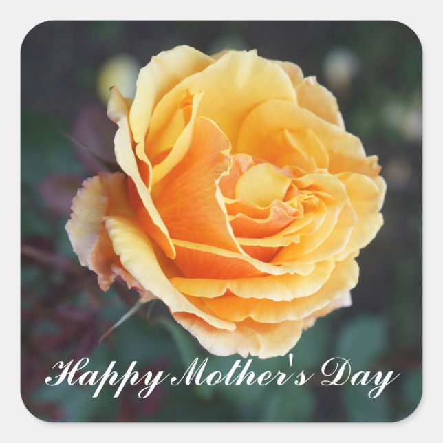 Happy Mother's Day About Face Rose #3 Stickers (Front)