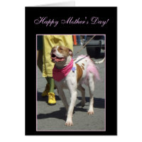Happy Mother's Day American Bulldog greeting card