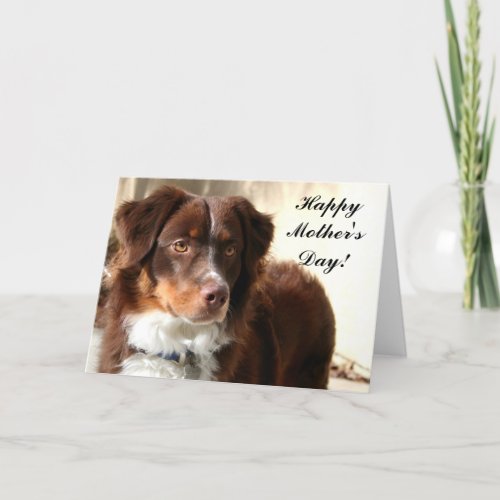 Happy Mothers Day Aussie greeting card