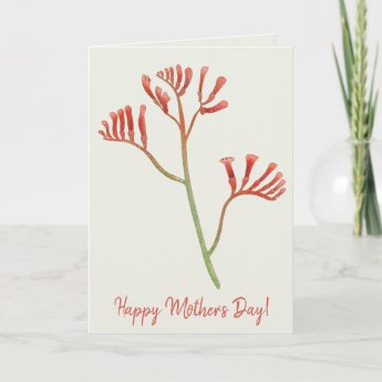 Happy Mother's Day  | Australian Kangaroo Paw