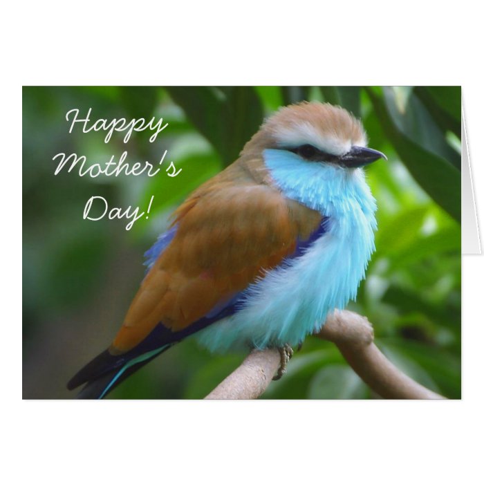 Happy Mother's Day Beautiful bird greeting card