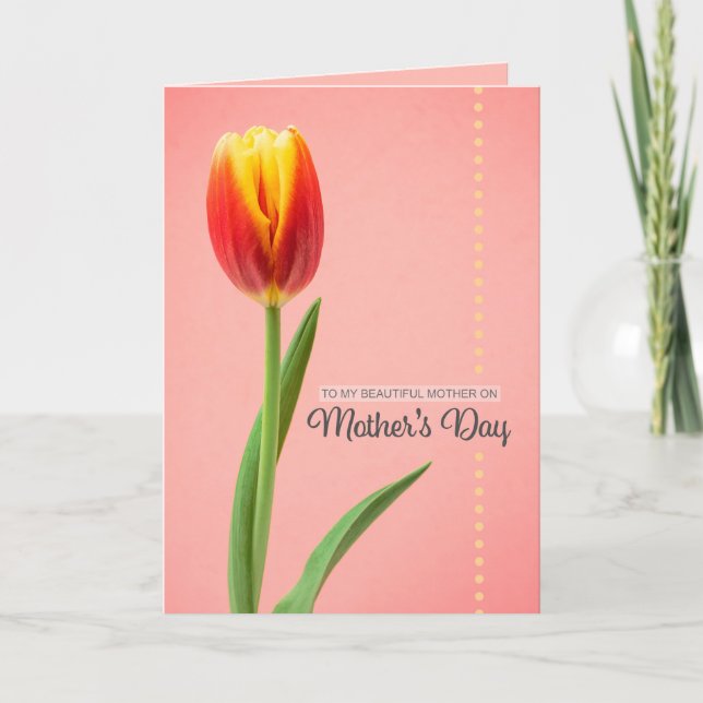 Happy Mothers Day Beautiful Mother Tulip on Pink Holiday Card (Front)