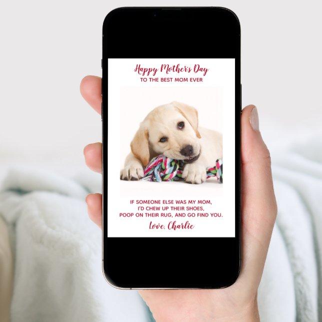 Happy Mothers Day Best Mom Ever Pet Dog Photo Holiday Card (Front Digital)