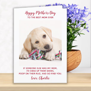 Happy Mothers Day Best Mom Ever Pet Dog Photo Holiday Card