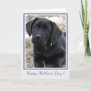 Happy Mother's Day Black Labrador - Cute Puppy Dog Letterpress Thank You Card