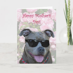 Happy Mother's Day Blue pitbull with glasses Card