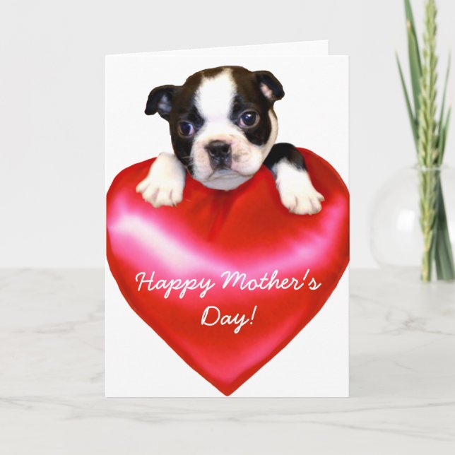 Happy Mother's Day Boston Terrier  Card (Front)