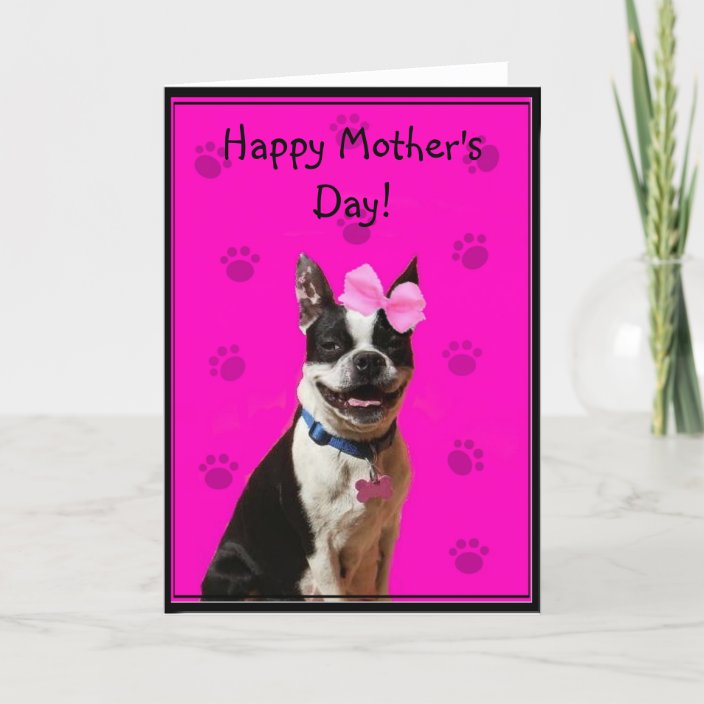happy mothers day boston terrier