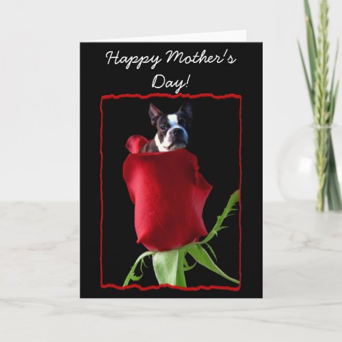 Happy Mothers Day Boston Terrier Greeting Card